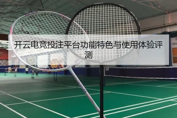 开云电竞投注平台功能特色与使用体验评测